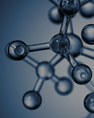 細(xì)胞株構(gòu)建