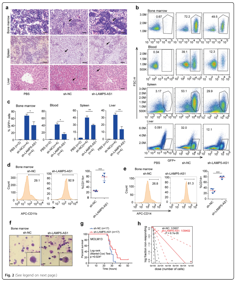 LC-MS/MS蛋白質(zhì)譜鑒定、LC-MS/MS、質(zhì)譜鑒定