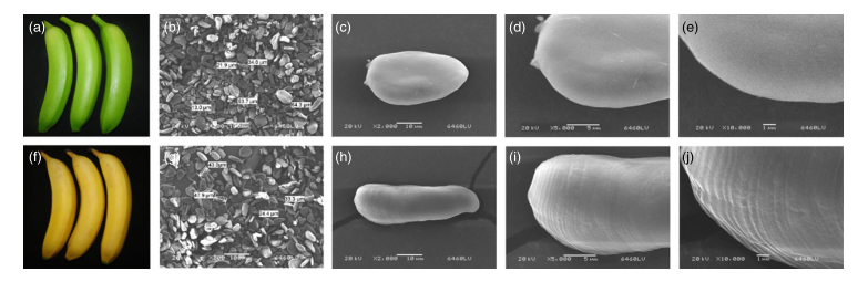 iTRAQ蛋白質(zhì)組學(xué)分析、itraq實(shí)驗(yàn)服務(wù)、iTRAQ技術(shù)