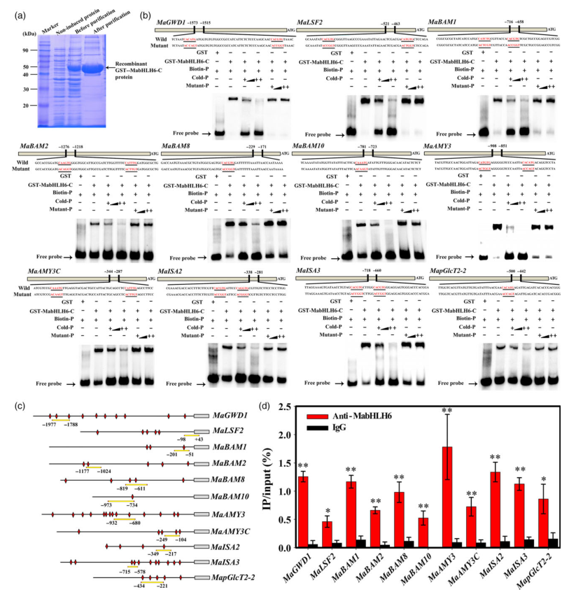 iTRAQ蛋白質(zhì)組學(xué)分析、itraq實(shí)驗(yàn)服務(wù)、iTRAQ技術(shù)