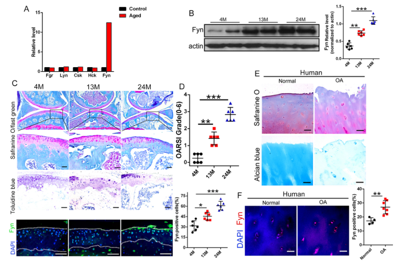 iTRAQ蛋白質組學分析、itraq實驗服務、iTRAQ技術