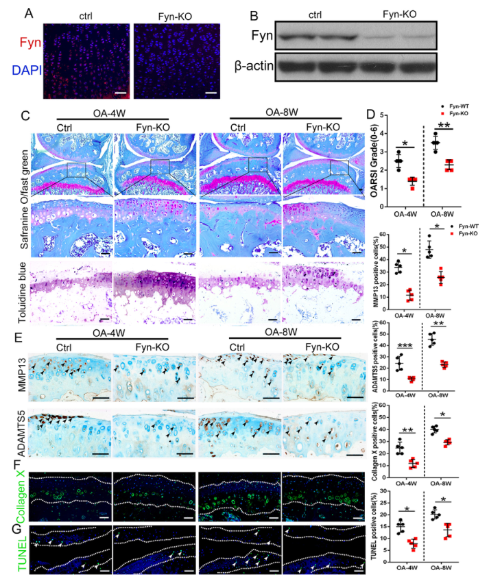 iTRAQ蛋白質組學分析、itraq實驗服務、iTRAQ技術
