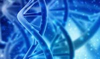 用于體內基于 DNA 的信息重寫的新型雙質粒編輯系統