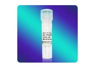 [FI01108] Anti-V5小鼠單克隆抗體