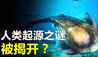 人類進化史：Nature證實“從魚到人”關鍵演化過程