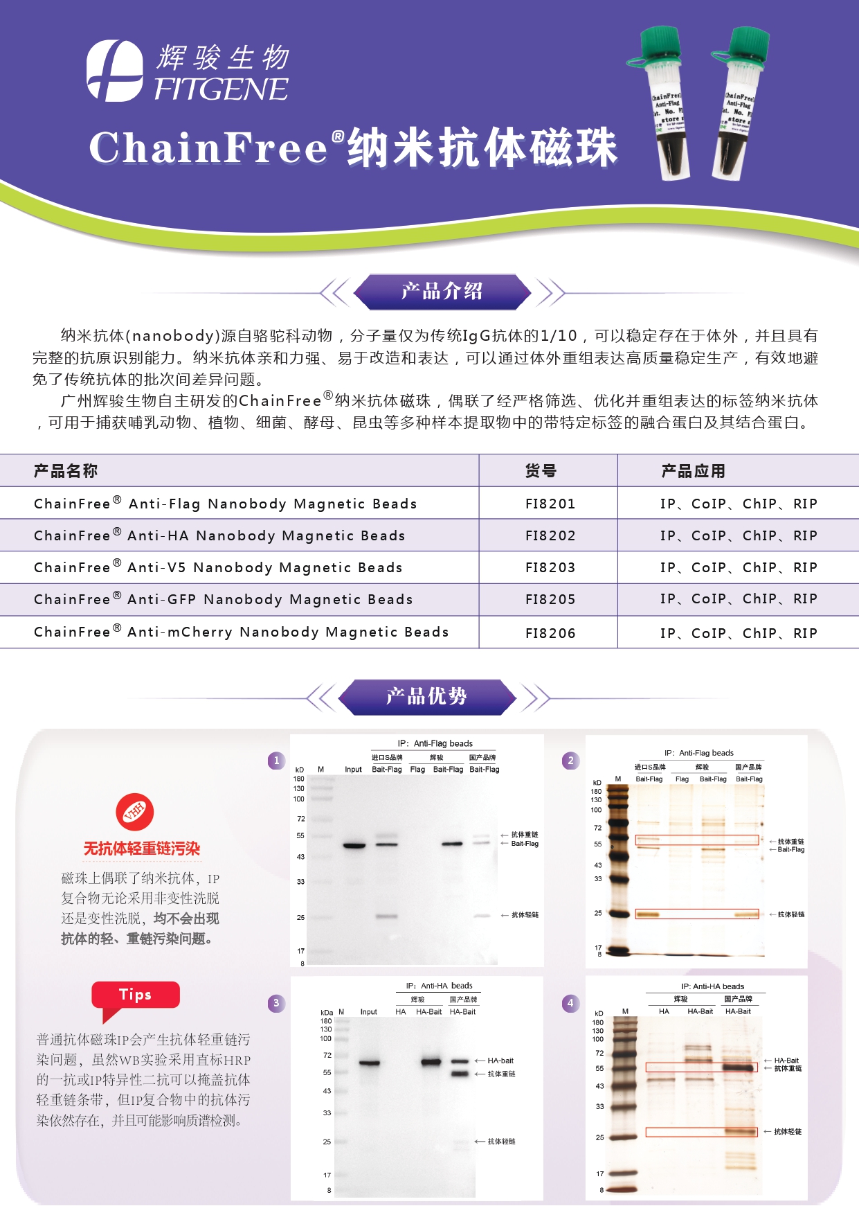 輝駿生物ChainFree?標(biāo)簽納米抗體磁珠(Flag、HA、V5、GFP、mCherry)-無輕重鏈污染-親和力強