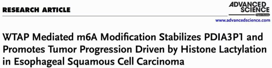 輝駿生物RNA pulldown試劑盒客戶文獻.png