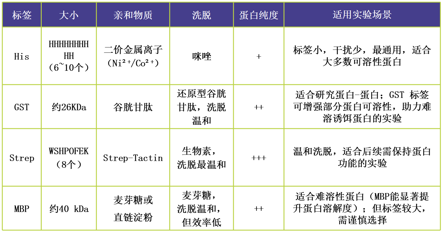 輝駿生物4種親和標(biāo)簽對(duì)比，分別為：His、GST、Strep、MBP，專業(yè)提供各類型標(biāo)簽蛋白試劑盒.png