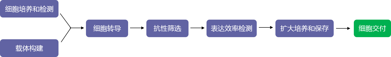 基因表達穩(wěn)轉株構建（轉座子系統(tǒng)）實驗流程-輝駿生物.png